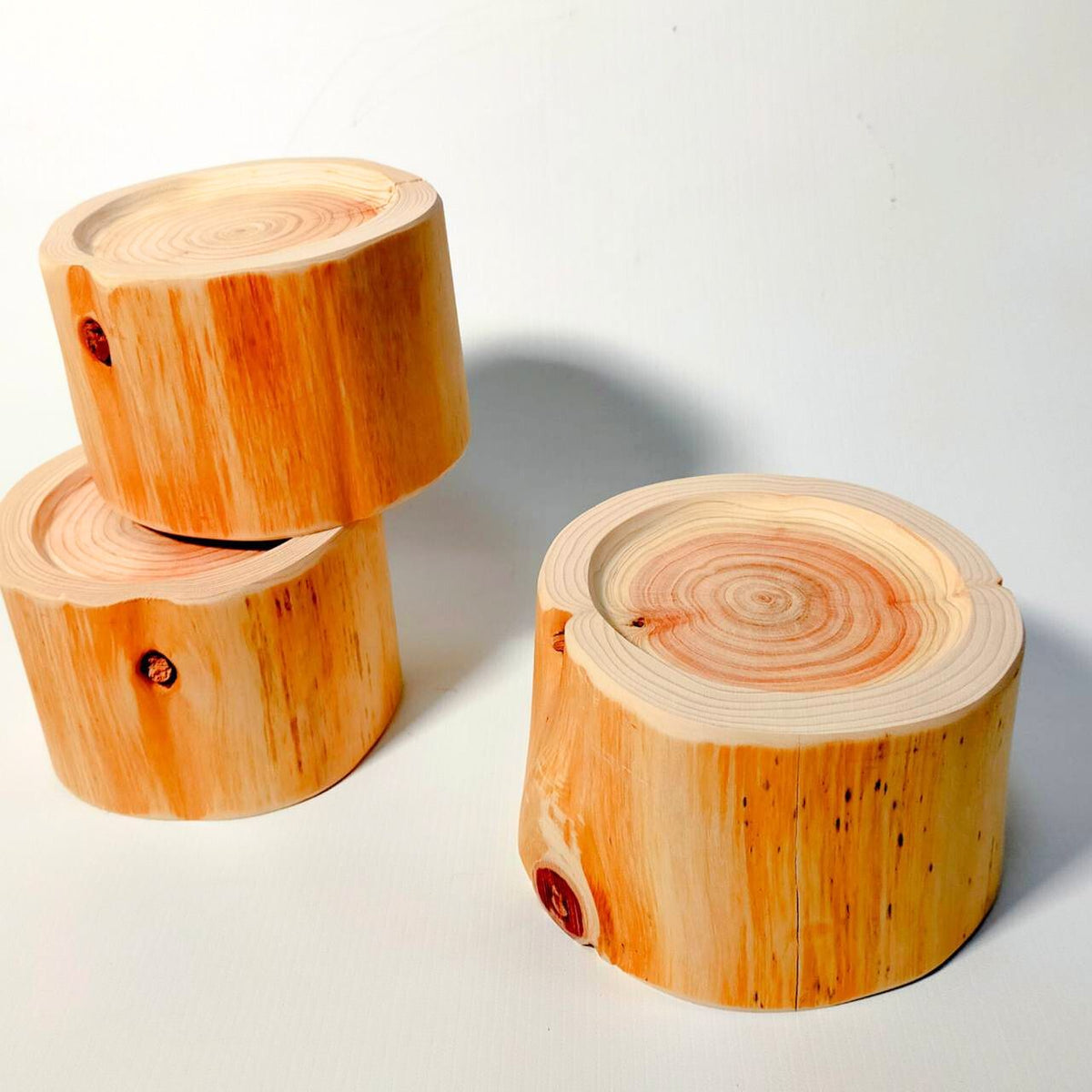 <log only> 9cm height Hinoki cypress log bowl, food stand, pet feeding bowl, 1 unit</log>