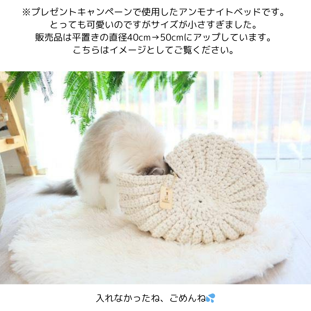 限定１個　試作・アウトレット　送料無料　アンモニャイトベッド　綿ロープ　出直し大きさアップ