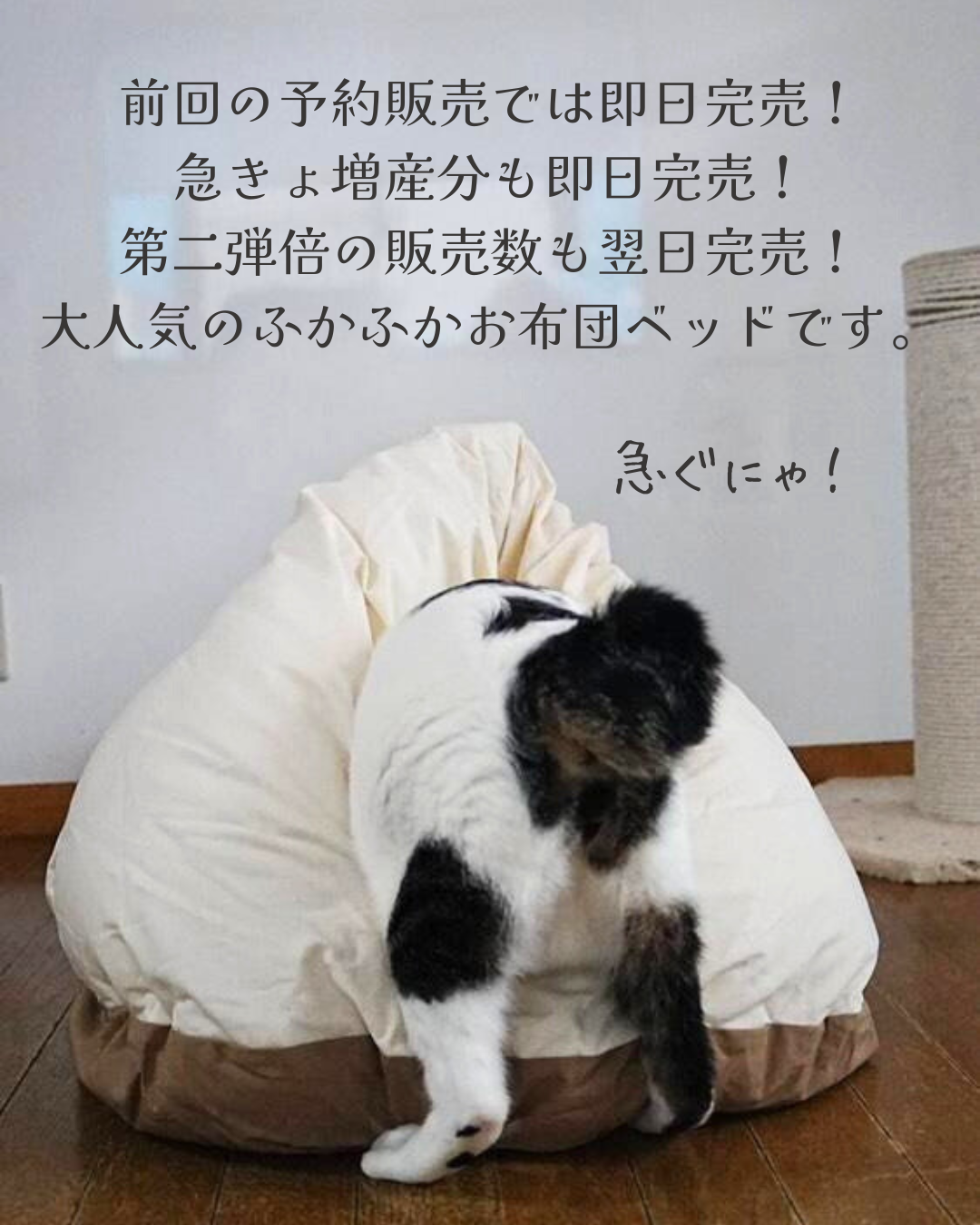 【第三弾予約販売】メレンゲベッド　送料無料　ペットベッド　猫ベッド　犬ベッド　ドーム型　半ドーム型　ふかふか　