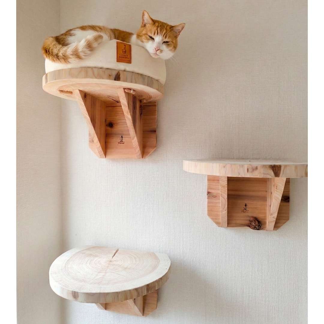 まだ販売前　送料無料【限定販売】職人仕上げの天然杉・輪切りキャットステップ