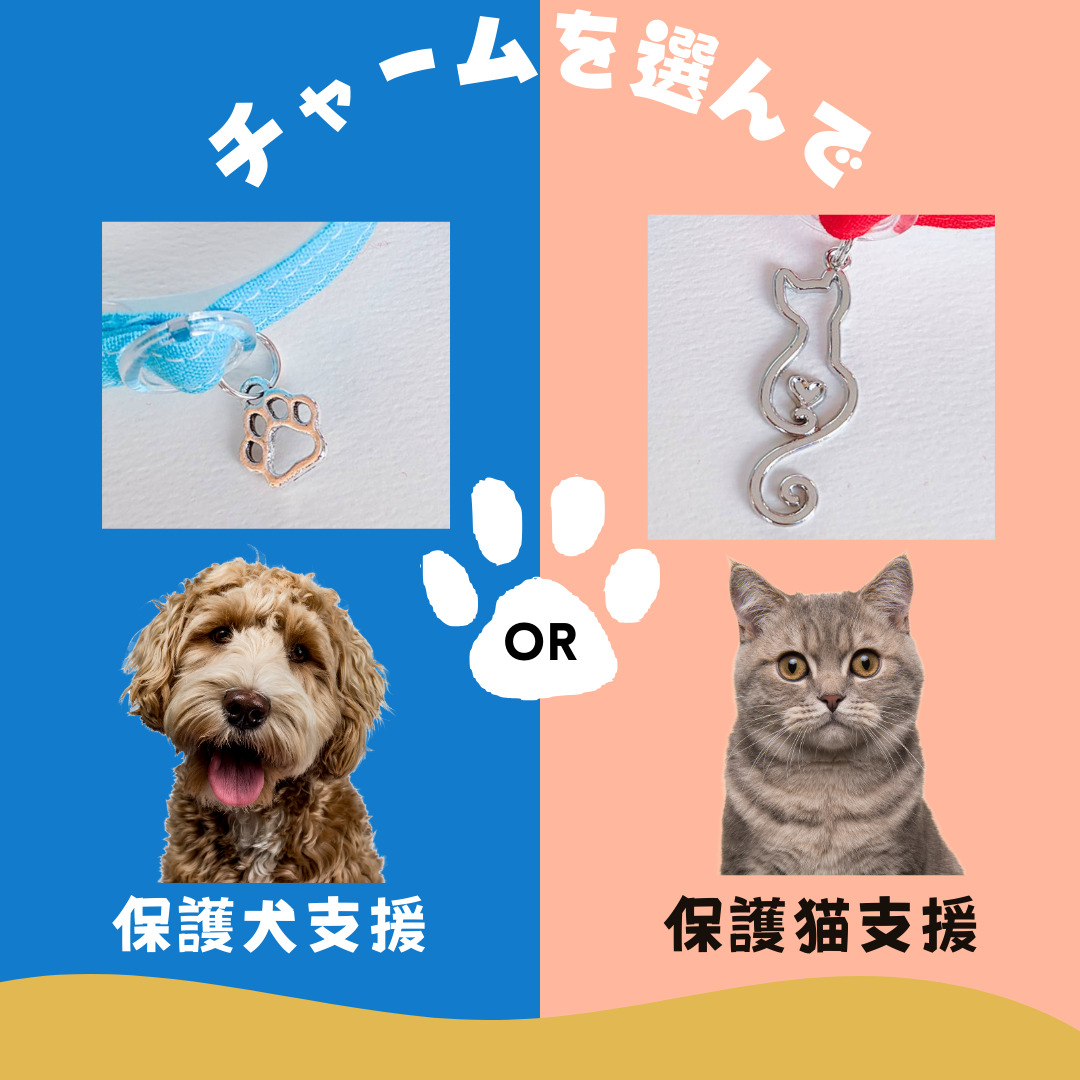 チャリティー商品　シンプルコットン　猫　首輪　小型犬　セーフティバックル　
