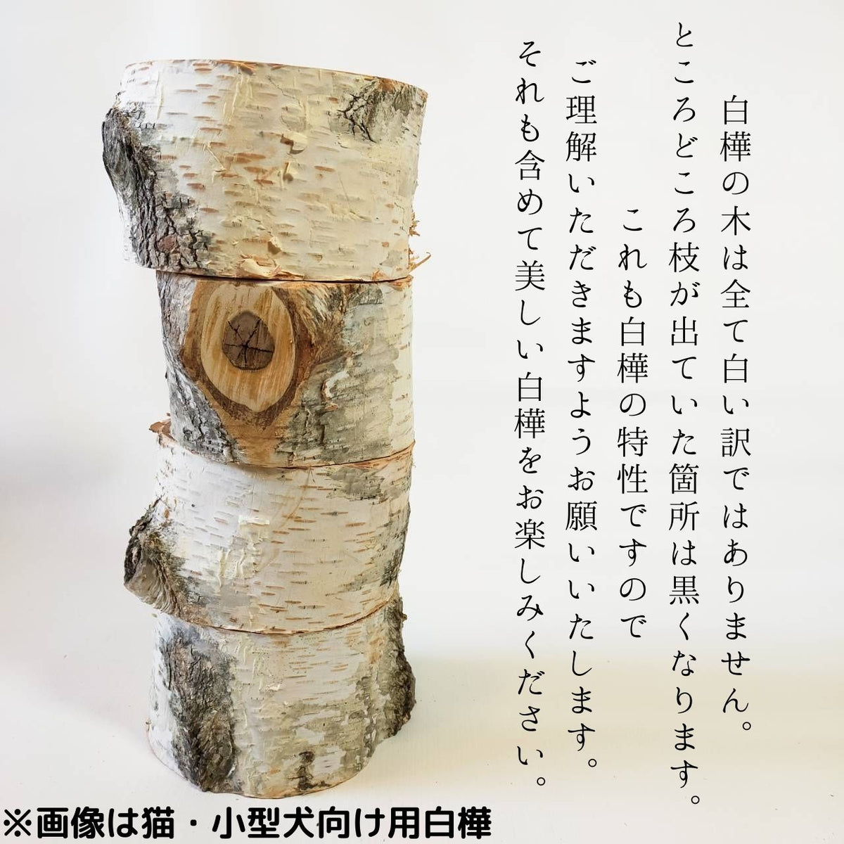 stainless bowl koyamaki dog log bowl pet table <Sciadopitys verticillata>