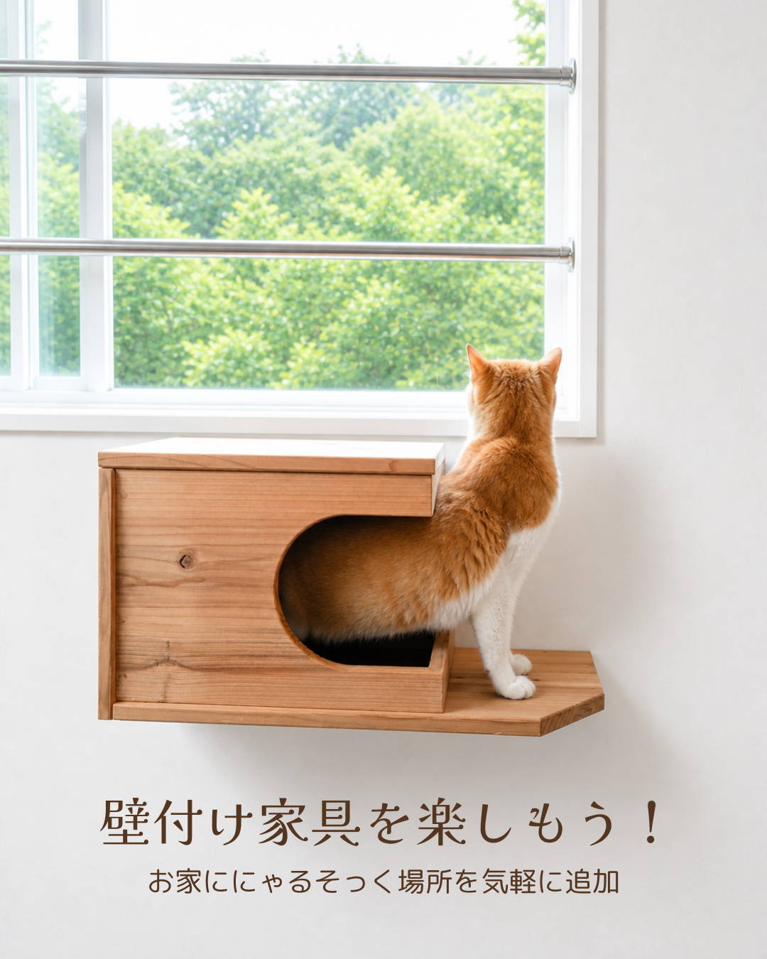 まだ販売前　Felesto 壁付けキャットハウス｜天然無垢材 専用クッション付き キャットステップ・キャットウォークにも