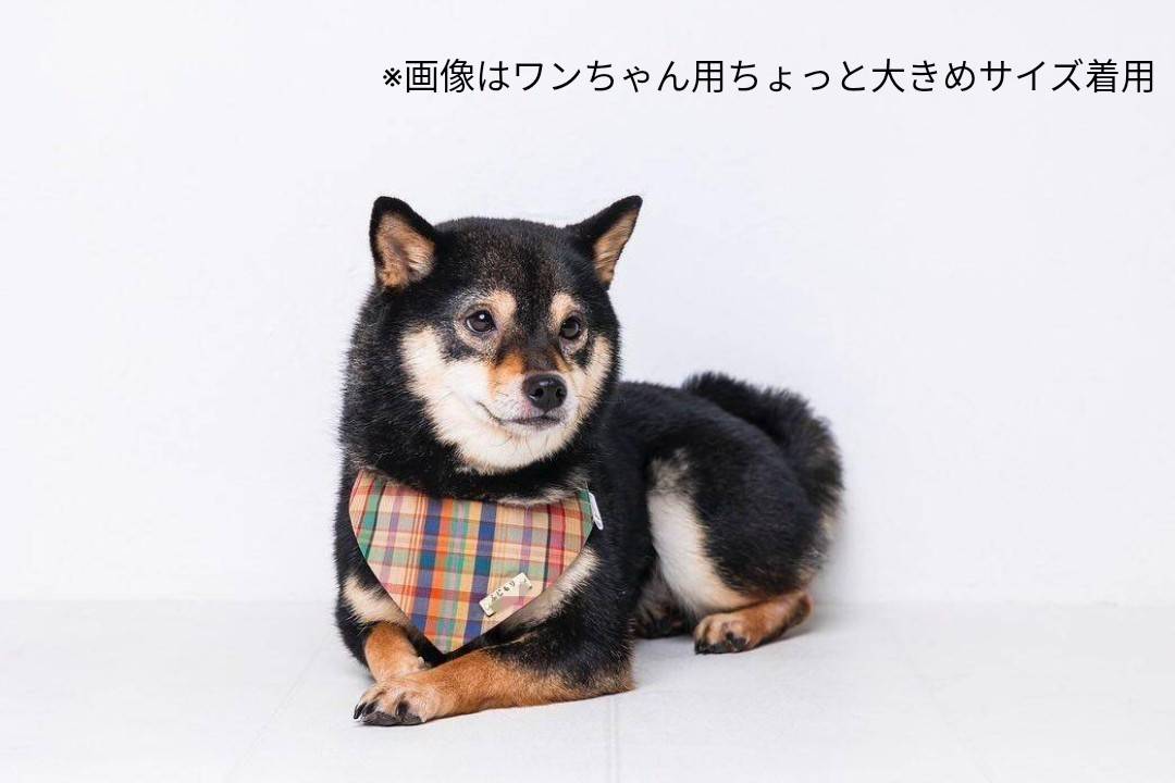 ＼長毛さん歓迎／　もふもふでも見える　バンダナ首輪　オプション迷子札　セーフティバックル使用　【チェック】