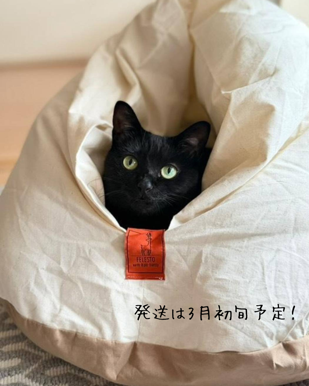 第四弾予約販売】メレンゲベッド 送料無料 ペットベッド 猫ベッド 犬 第四弾予約販売】メレンゲベッド 送料無料 ペットベッド 猫ベッド 犬
