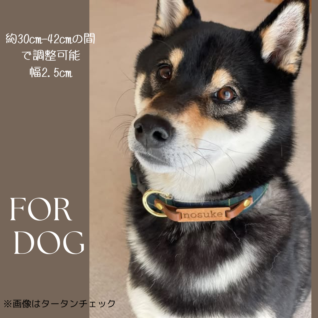 アップサイクルデニム　犬用　コットン首輪　オプション迷子札　犬　首輪　幅2cm
