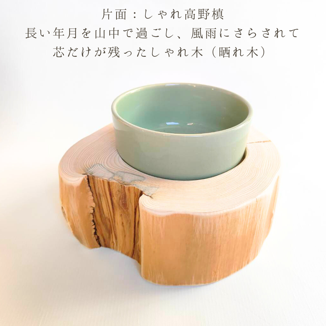 ＜丸太のみ販売＞アウトレット20％OFF　（ランダム配送４個入荷）ヘルスウォーターボウルMがピッタリ入る！　アウトレット　フレッシュ高野槙のログボウル　ごはん台　フードボウル　餌台　エサ入れ 1個販売