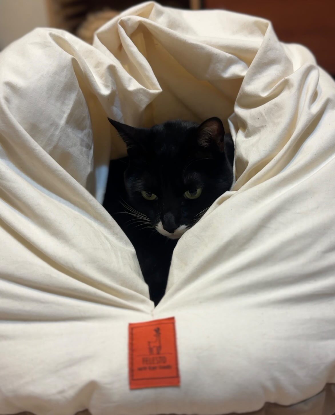 【第三弾予約販売】メレンゲベッド　送料無料　ペットベッド　猫ベッド　犬ベッド　ドーム型　半ドーム型　ふかふか　