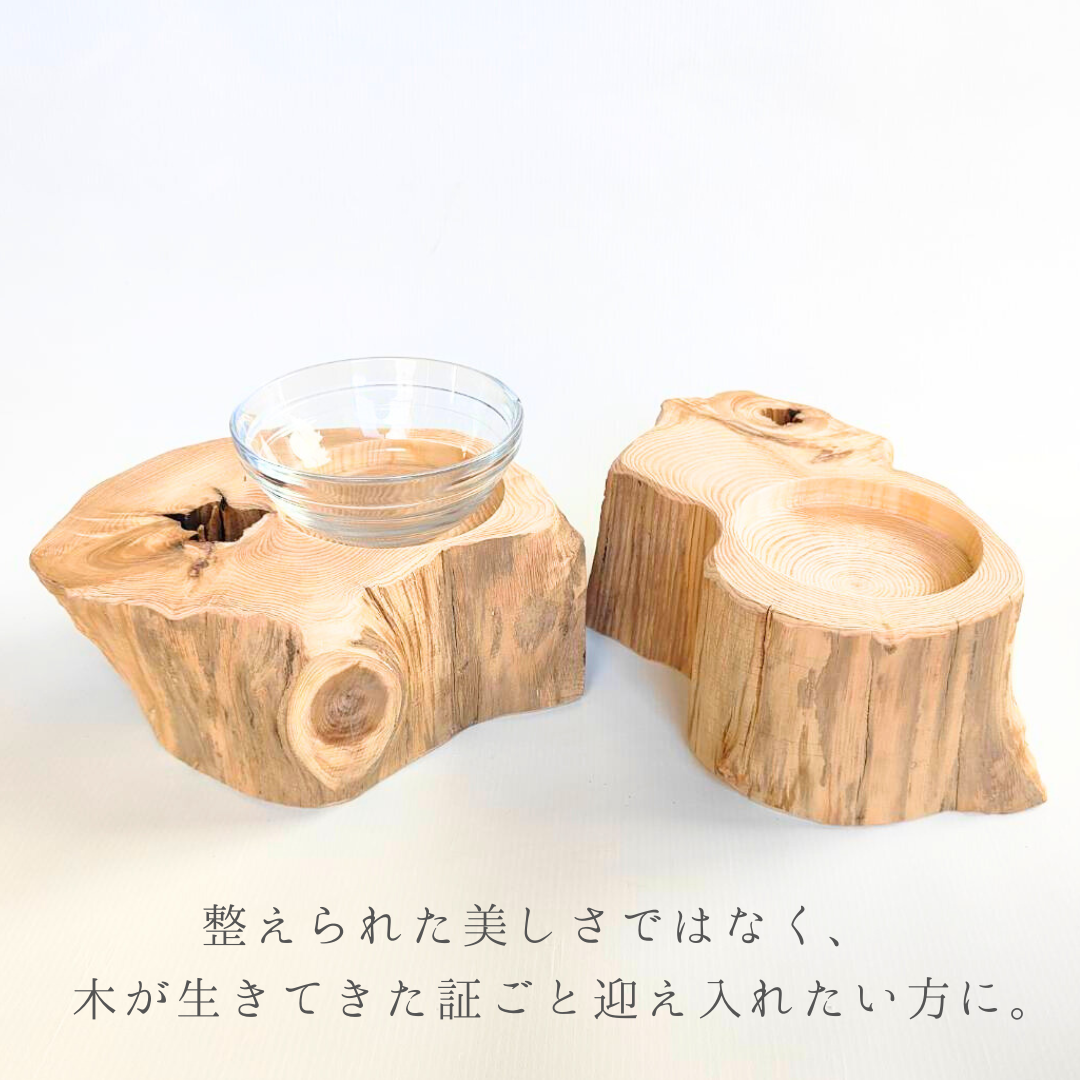 【アウトレット20％OFF】　表情豊かなしゃれ高野槙のログボウル　ごはん台　フードボウル　餌台　エサ入れ 1個販売　ランダム配送