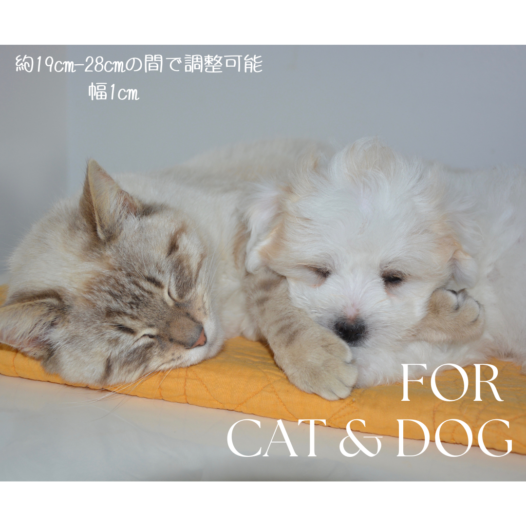 【迷子札付き】＜高品質ピマコットン＞【JASMINE】やさしい100％コットン　セーフティバックル　猫　首輪　花柄