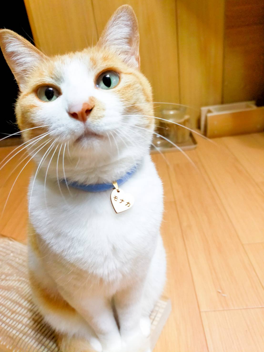 <20 colors > round wood collars