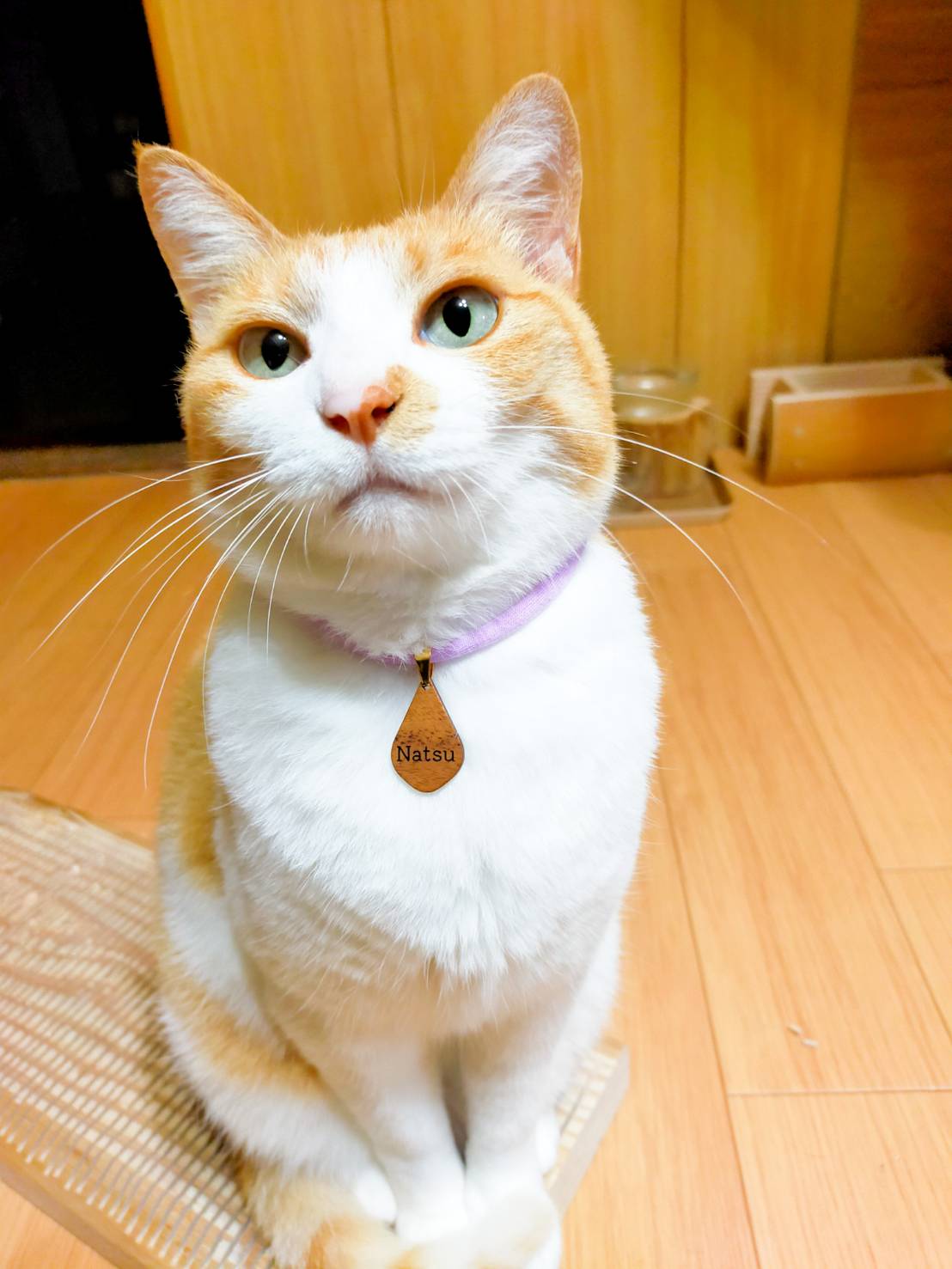<20 colors > round wood collars