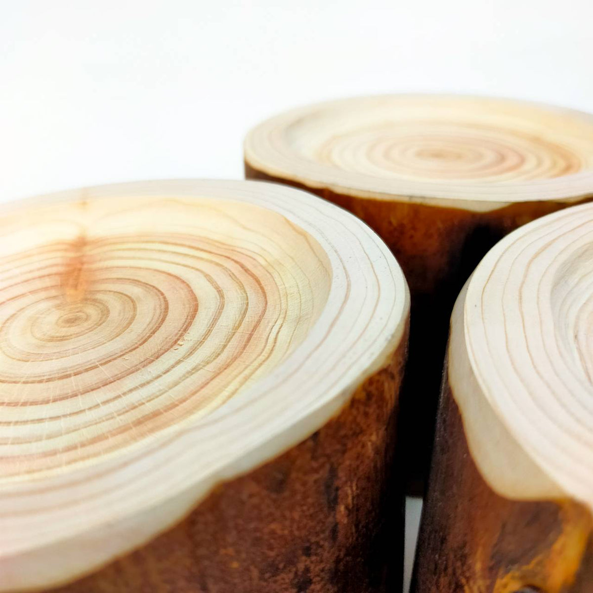 Simple hinoki log bowl pet table