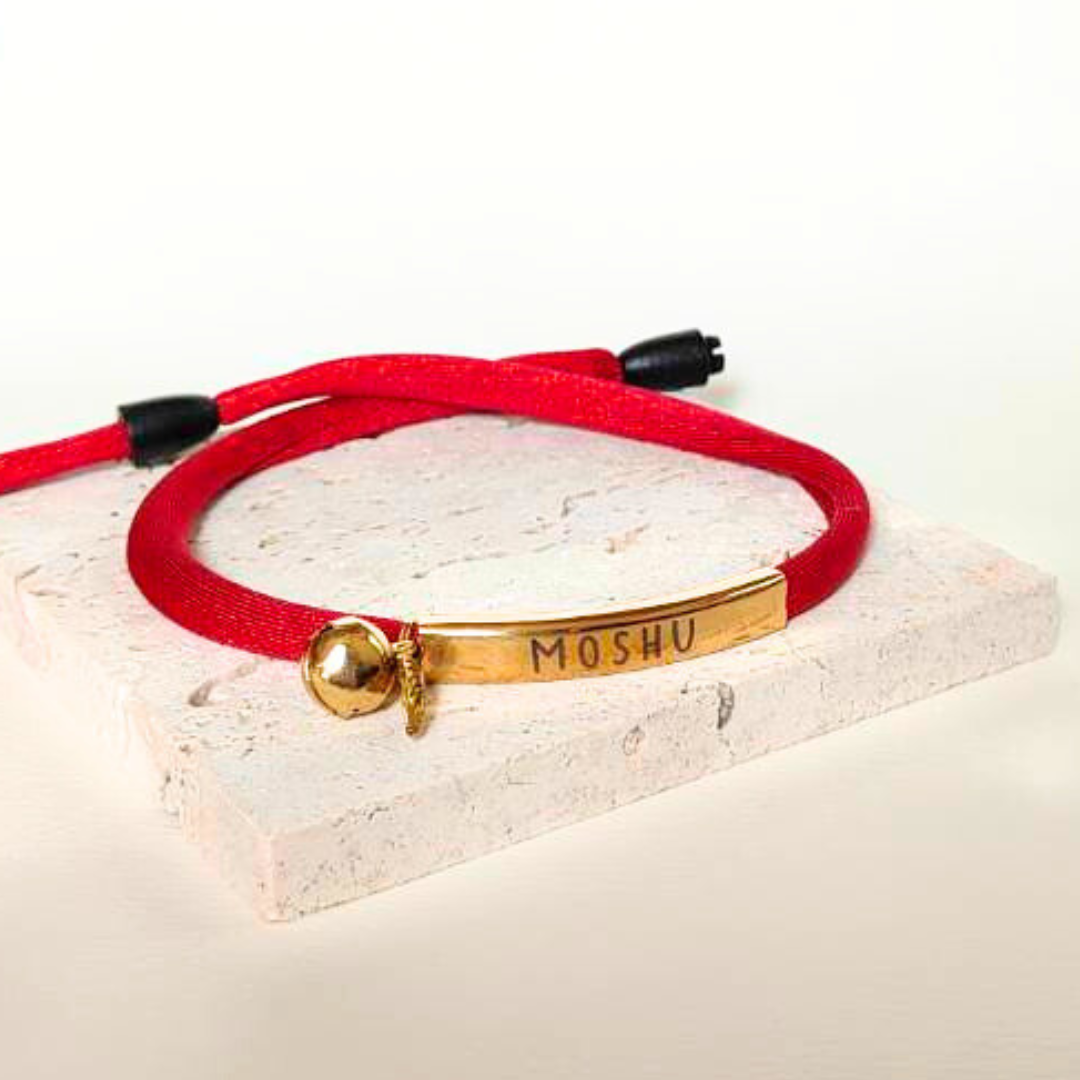 揺れない迷子札（ステンレスバージョン）　ストレス最小限　おハゲ防止　わずか4g　リニューアル紐　やわらか紐首輪　軽い・やわらか紐・安全バックル・迷子札付き