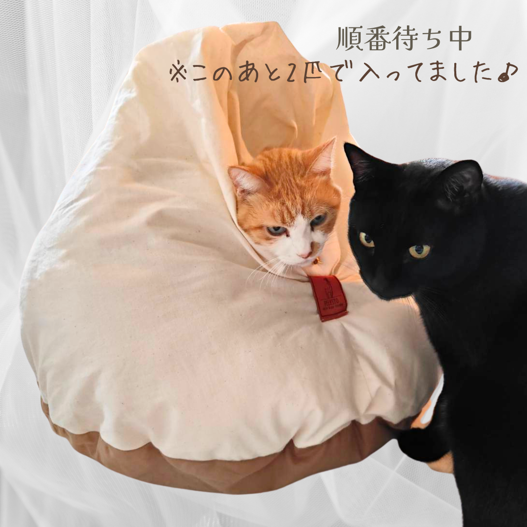 第四弾予約販売】メレンゲベッド 送料無料 ペットベッド 猫ベッド 犬 第四弾予約販売】メレンゲベッド 送料無料 ペットベッド 猫ベッド 犬