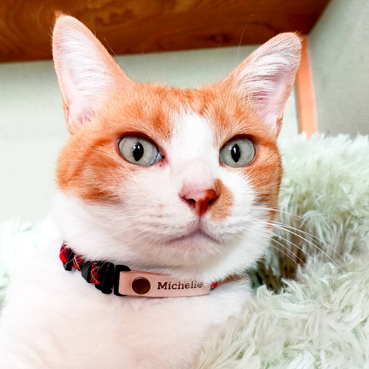 オーダー☆チョーカー☆首輪☆迷子札☆刻印込み☆六つ編み☆犬☆猫 