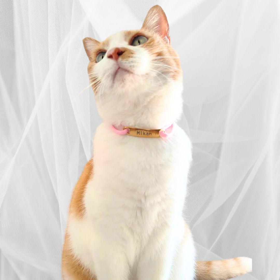 プレートタイプ（両穴型）　パラコード×揺れない迷子札（ステンレス）　チョーカー　首輪　猫　犬　彫刻可 名入れ おしゃれ 高級感 軽い 日本製 Felesto