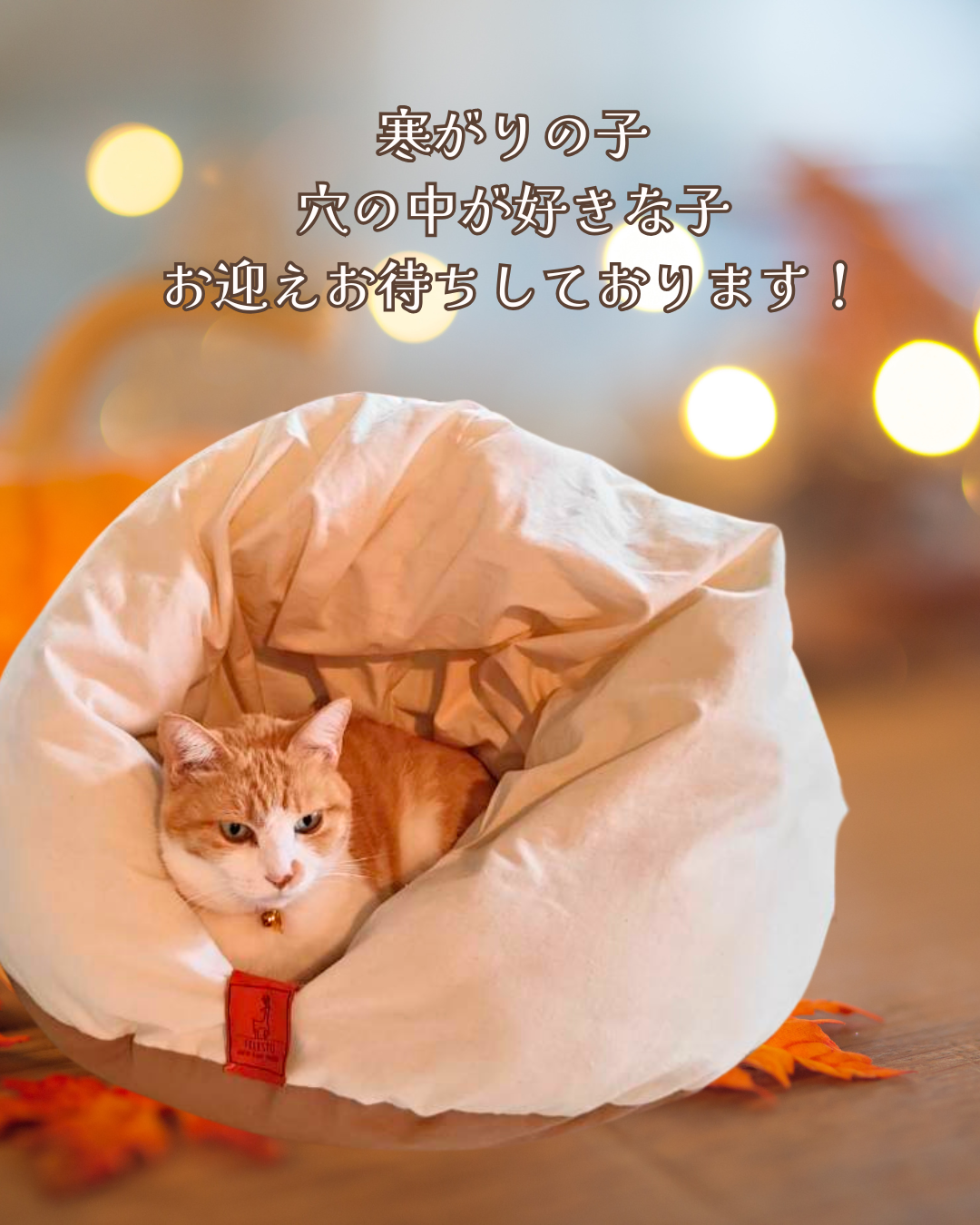 メレンゲベッド 800g仕様 送料無料 ペットベッド 猫ベッド 犬ベッド ドーム型 半ドーム型