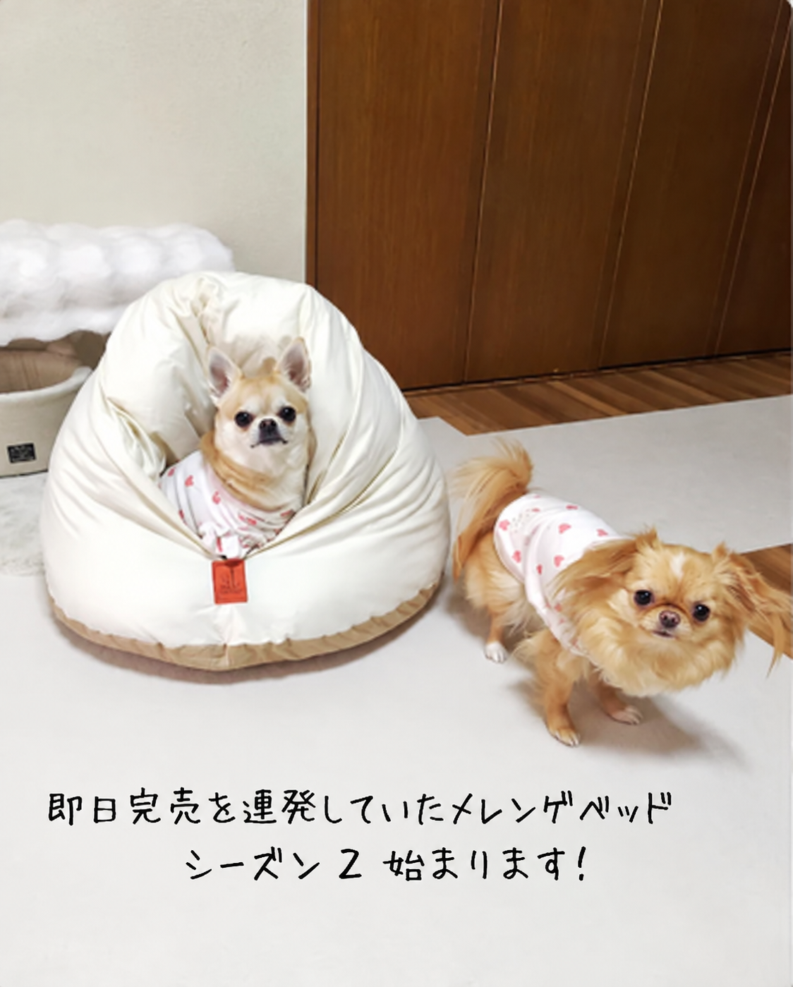 メレンゲベッド 800g仕様 送料無料 ペットベッド 猫ベッド 犬ベッド ドーム型 半ドーム型