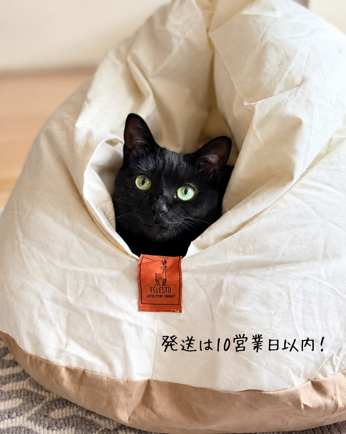 Felesto メレンゲベッド　ペット用ベッド クッション メレンゲベッド 800g仕様 送料無料 ペットベッド 猫ベッド 犬ベッド