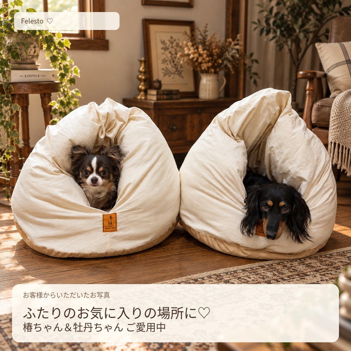 メレンゲベッド 800g仕様 送料無料 ペットベッド 猫ベッド 犬ベッド ドーム型 半ドーム型