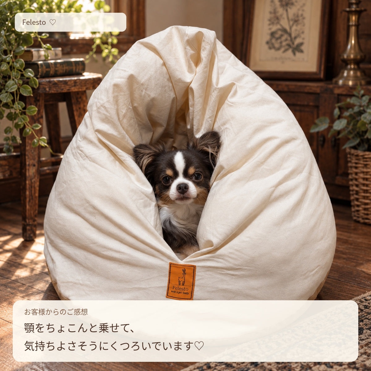 メレンゲベッド 800g仕様 送料無料 ペットベッド 猫ベッド 犬ベッド ドーム型 半ドーム型