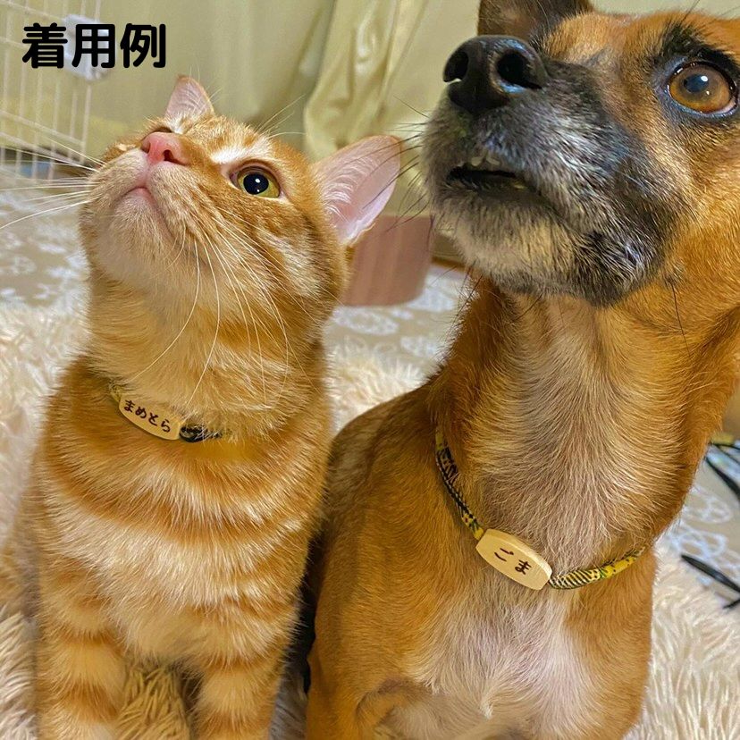 <20 colors> No stress pet collars