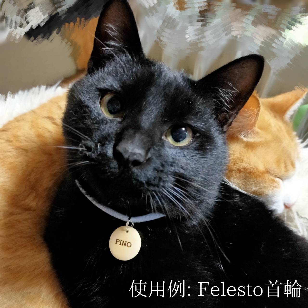 ＜1g以下＞コロンとまあるい木製迷子札　猫　犬　小型犬　迷子札　軽量　お名前　お電話番号　両面彫刻　オーダーメイド