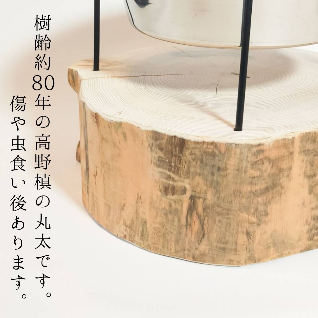 一点もの　アウトレット　大型犬用　高さ20cm(器の下まで）　　-高野槙の丸太のLog Bowl-　水飲み台　ごはん台　餌台
