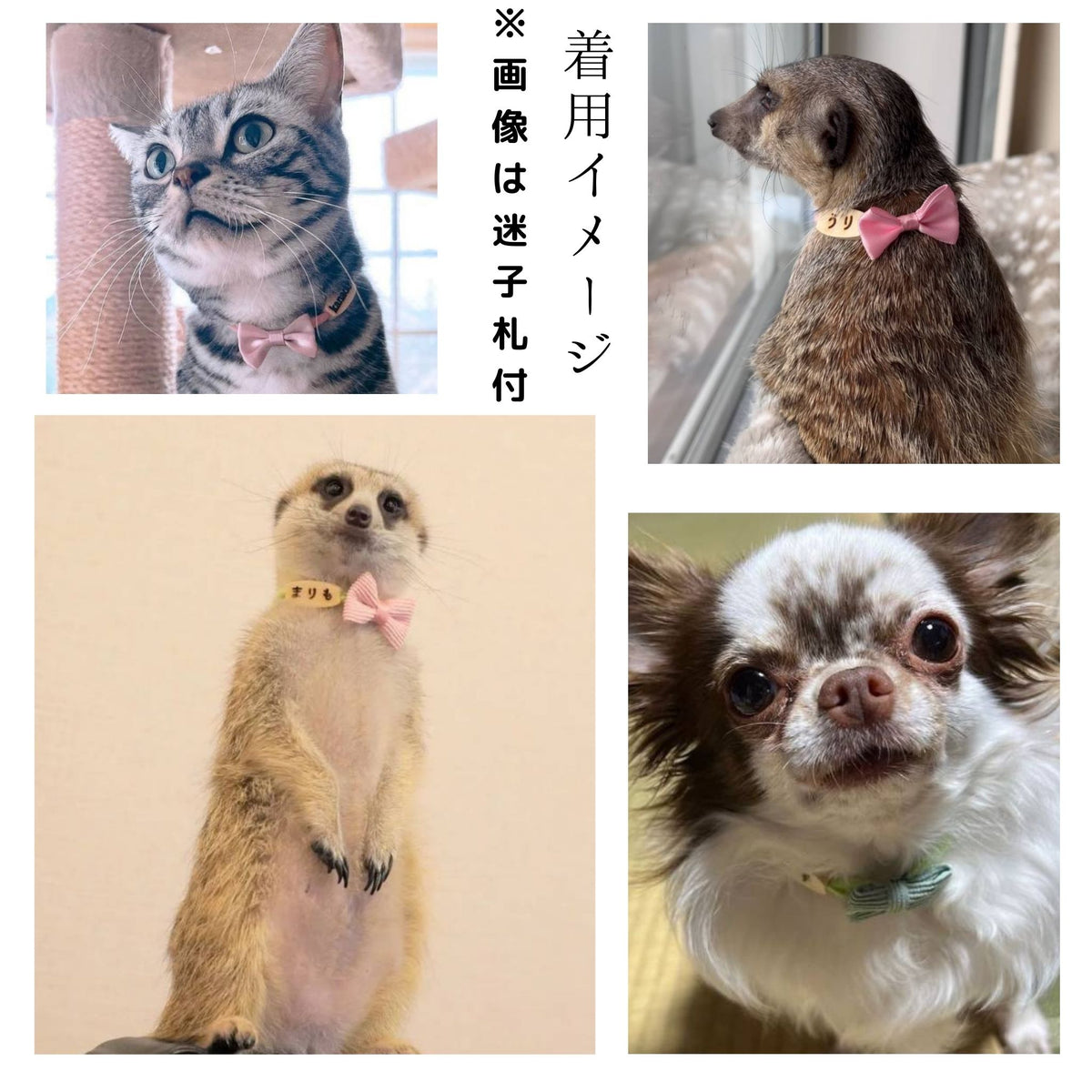 <全20色>ミニリボンのやわらか紐首輪　猫　首輪　セーフティバックル　安全　軽量　紐　おしゃれ　かわいい