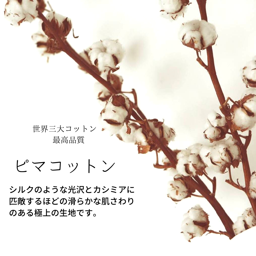 【迷子札付き】＜高品質ピマコットン＞【JASMINE】やさしい100％コットン　セーフティバックル　猫　首輪　花柄
